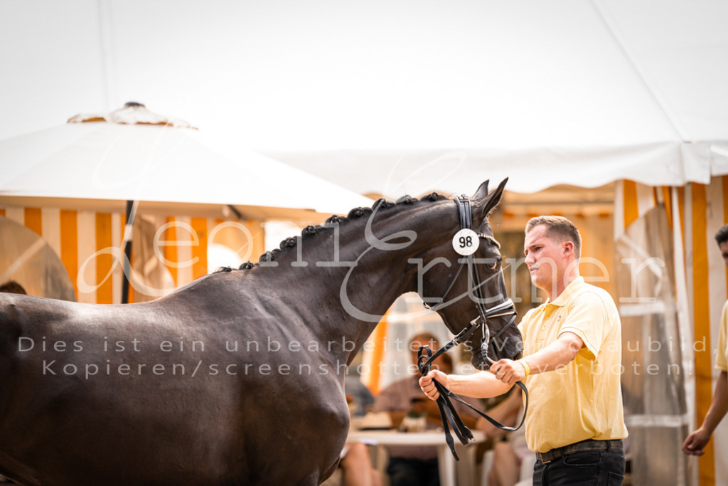 7.Fr00088 | Leoni Ertmer Photography - Realisiert mit Pictrs.com