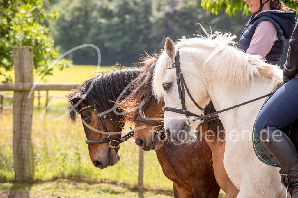 846A0934 | fotosleben - Realisiert mit Pictrs.com
