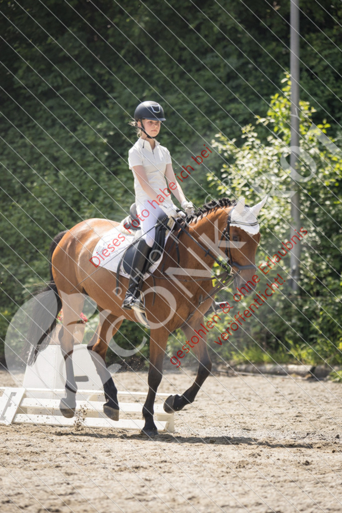 IMG_4598 | Sport-, Event- und Tierfotos in Profiqualität. Einfach auswählen, bestellen und herunterladen. Dein Moment – perfekt festgehalten.