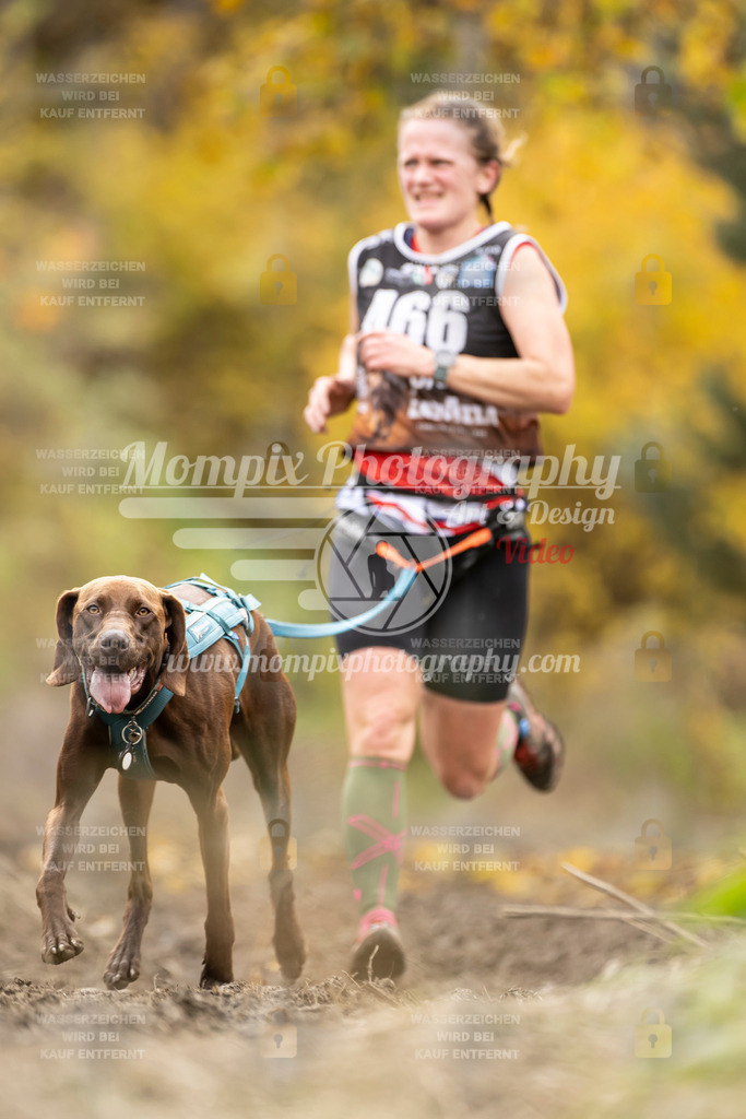 MompixPhotography_ICF_WC_2024_SA_Run_-480 | PayLife