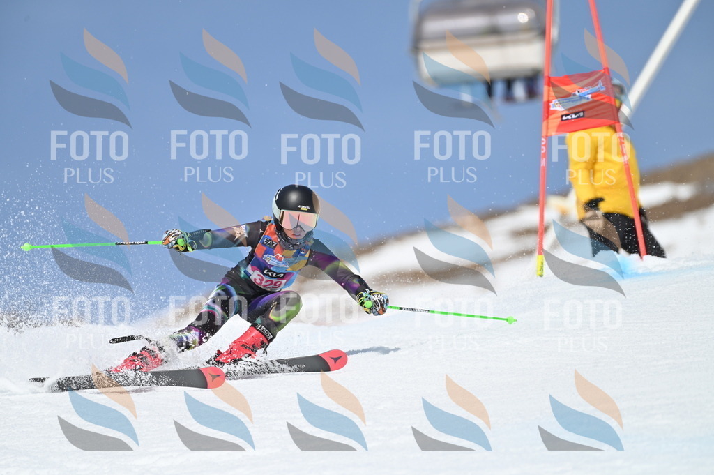 BGV_3259 | holidayphoto