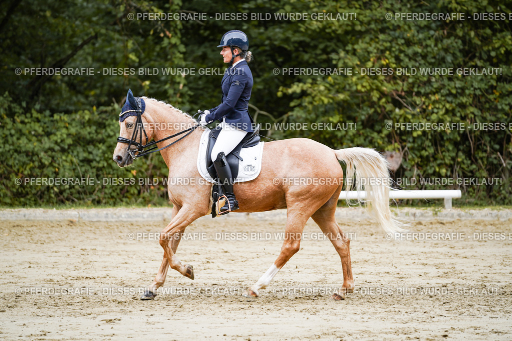 DSC04896 | Pferdegrafie