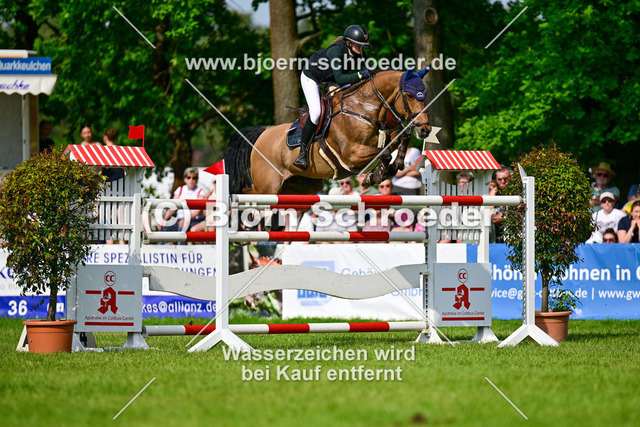 Johanna Zander-Keil_987_4066-2 | Björn Schroeder Pferdefotografie