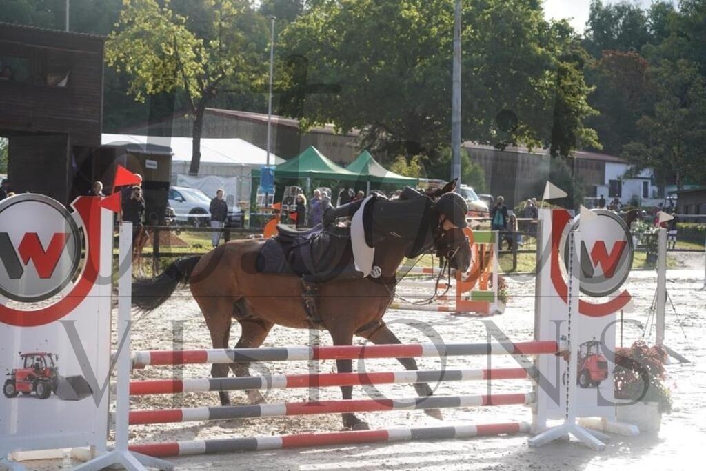 rveinoedsonntag (208) | d.tail Visions - Shop - Realisiert mit Pictrs.com