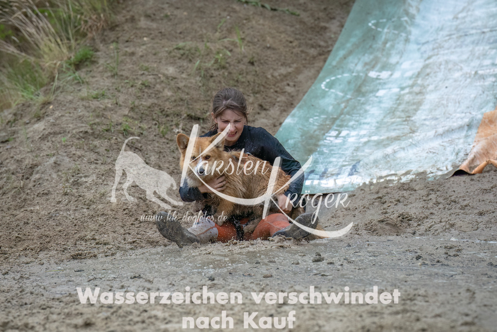 1442_ZZ91414-Bearbeitet | kk-dogfotos