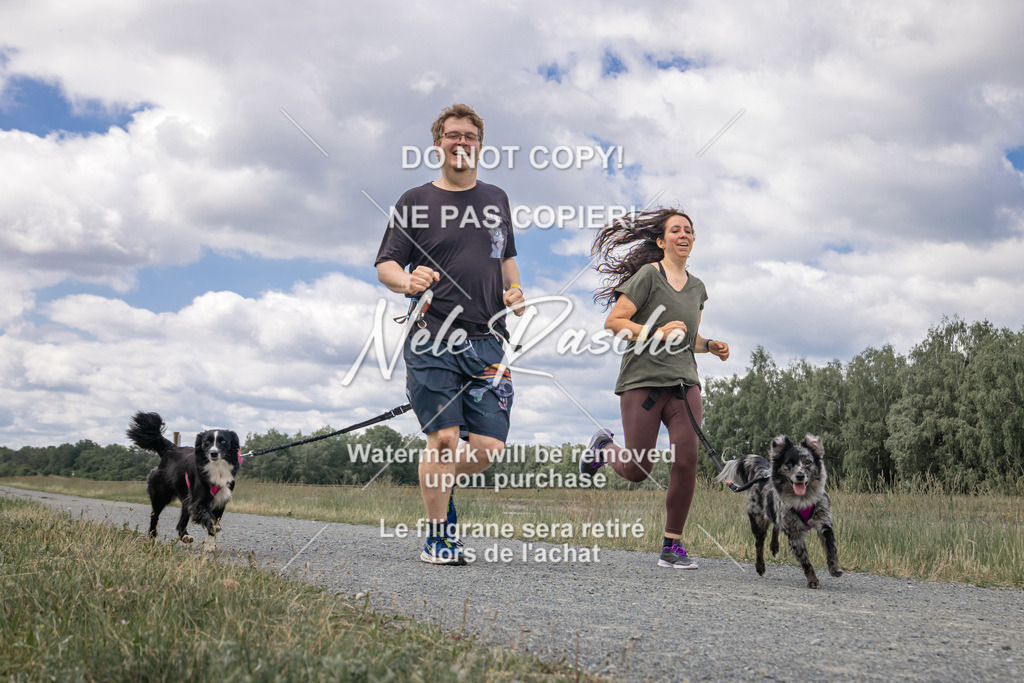 nelerasche_BuHu2026_SaCC1100-1200_168 | nelerasche