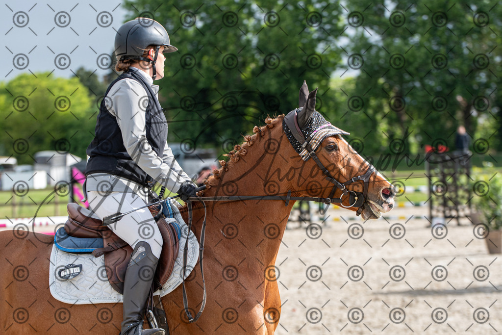 KPT_8053 | andre_photographic