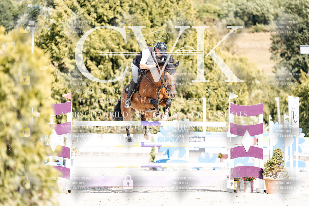 CK908865 | Turnierfotografie Pferdefotografie Trier Rheinland-Pfalz Pferdesport Reitsport Tierfotografie Sportfotografie Pferdevideo Pferdevideografie Equestrianvideography equestrianphotography  - Realisiert mit Pictrs.com