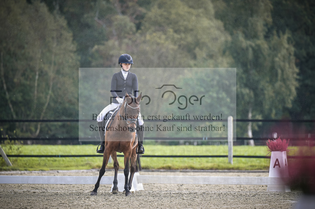 DOS_B452 | Entdecke hochwertige Reitturnierfotos von Foto Oger. Professionell, emotional und authentisch – jetzt Lieblingsmomente im Shop bestellen.Deutschlandweite Turnierfotografie. - Realisiert mit Pictrs.com