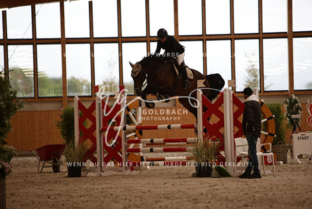 1J2A3584Tosca von Thünen_ Compadre 10_ Kn512_ Hohen Wieschendorf_ Glantz | Foto- und Videografie für alles rund ums Pferd. Hochwertige Bilder und Videos vom Spring- und Dressurreiten, Voltigieren & mehr. Jetzt aktuelle Veranstaltungen und Preise im Shop ansehen. - Realisiert mit Pictrs.com