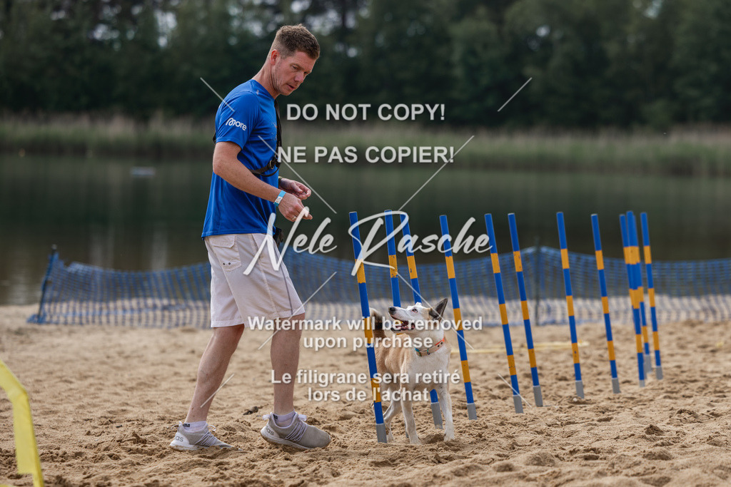 nelerasche_BuHu2026_So1530-Ende_56 | nelerasche