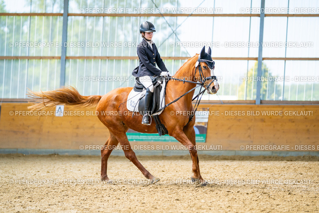 DSC09466 | Pferdegrafie