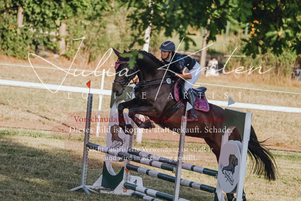 DSC_3233 | Pferde- und Turnierfotografie in Westsachsen. Pferdeportraits, Auftragszeichnungen und intuitive Kunst.