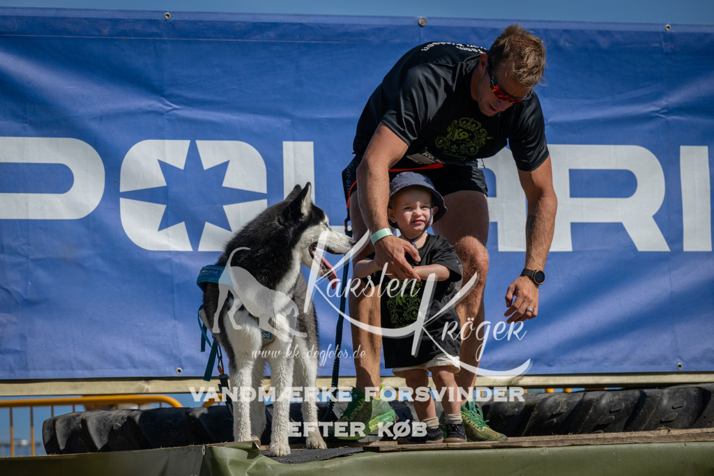 1130_ZZ91855 | kk-dogfotos