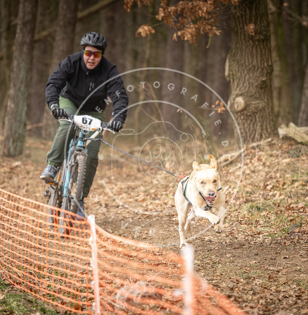 Pfotenfotografie_DV3A3411 | Hundefotografie, Tierfotograf, Pfotenfotografie, Fotoshooting Hund, Hunde Portrait, Hundesport, Hundeportraits, Heideshooting, Hunde, Sportfotograf, Hundefotograf, Turnierhundsport, THS,  - Realisiert mit Pictrs.com