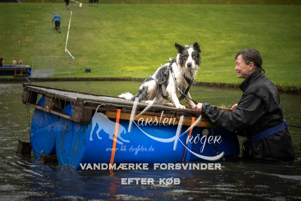 1548_ZZ94843 | kk-dogfotos