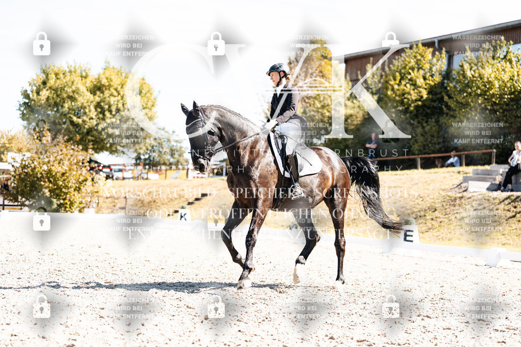 CK909907 | Turnierfotografie Pferdefotografie Trier Rheinland-Pfalz Pferdesport Reitsport Tierfotografie Sportfotografie Pferdevideo Pferdevideografie Equestrianvideography equestrianphotography  - Realisiert mit Pictrs.com