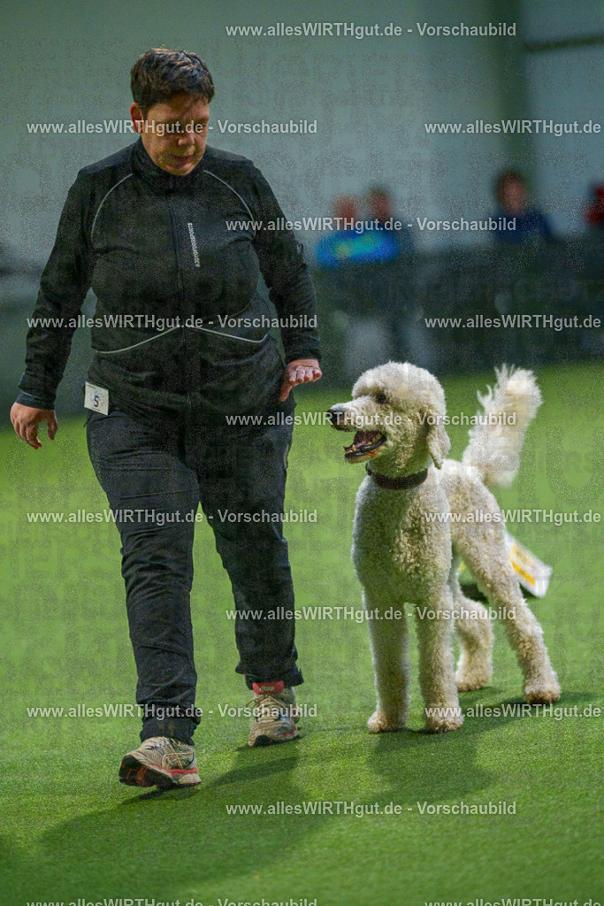 7R509942 | Professionelle Tierfotografie in Mönchengladbach von Daniel Wirth (allesWIRTHgut). Liebevolle & natürliche Bilder von Hunden & Katzen für unvergessliche Erinnerungen.