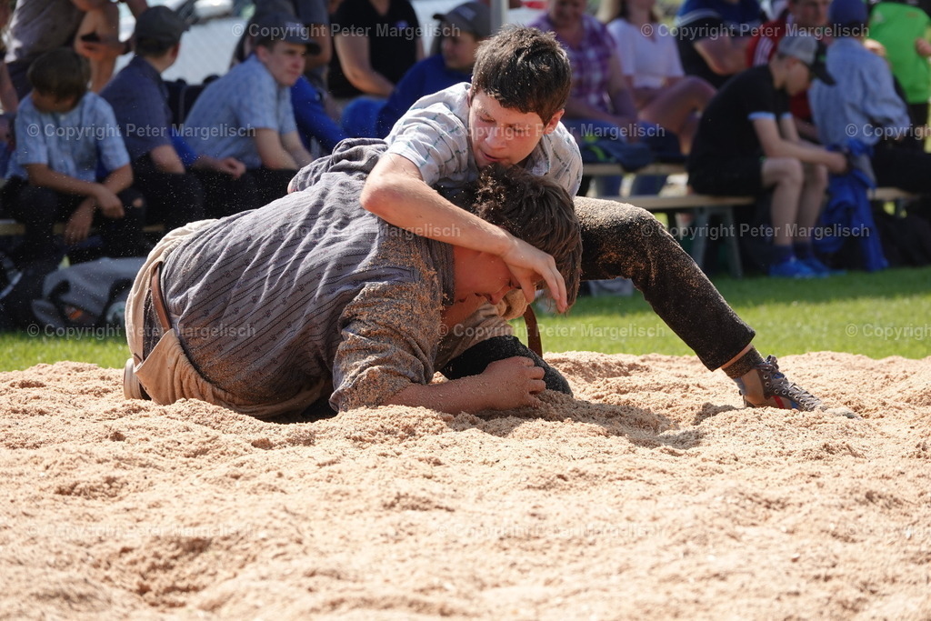 DSC04359 | Schwingen - Realisiert mit Pictrs.com