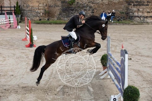 2B4A2088 | pixelfaenger - Realisiert mit Pictrs.com