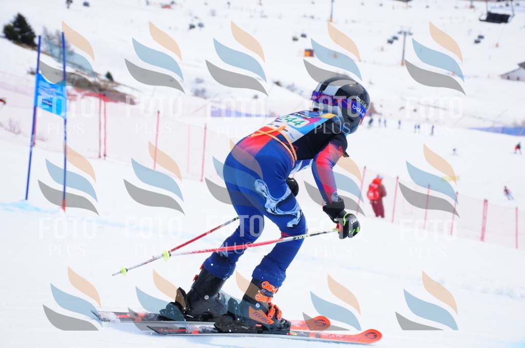 DSC_2296 | holidayphoto