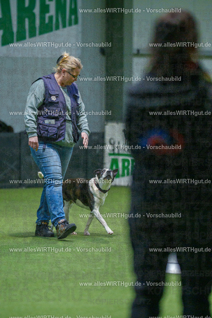 7R509804 | Professionelle Tierfotografie in Mönchengladbach von Daniel Wirth (allesWIRTHgut). Liebevolle & natürliche Bilder von Hunden & Katzen für unvergessliche Erinnerungen.