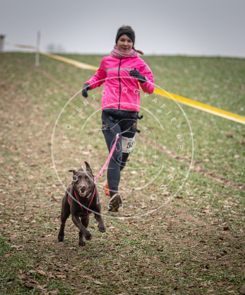 Pfotenfotografie_DV3A1844 | Hundefotografie, Tierfotograf, Pfotenfotografie, Fotoshooting Hund, Hunde Portrait, Hundesport, Hundeportraits, Heideshooting, Hunde, Sportfotograf, Hundefotograf, Turnierhundsport, THS,  - Realisiert mit Pictrs.com