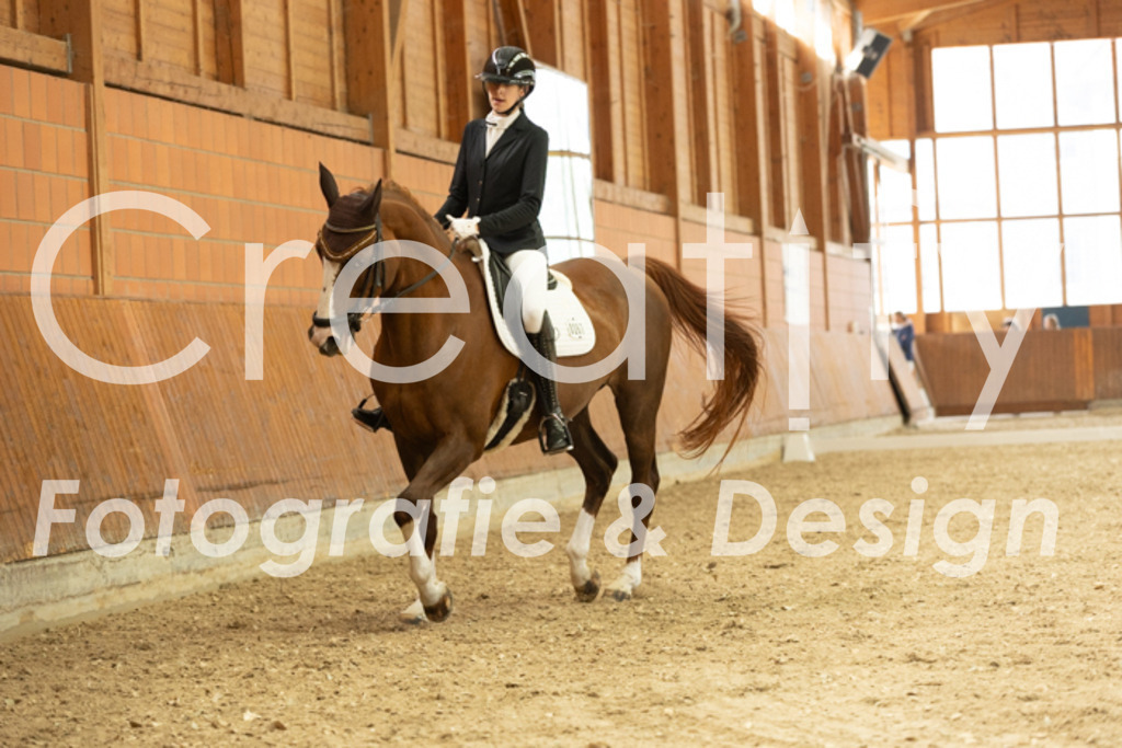 IMG_1392 | Creatify Fotografie