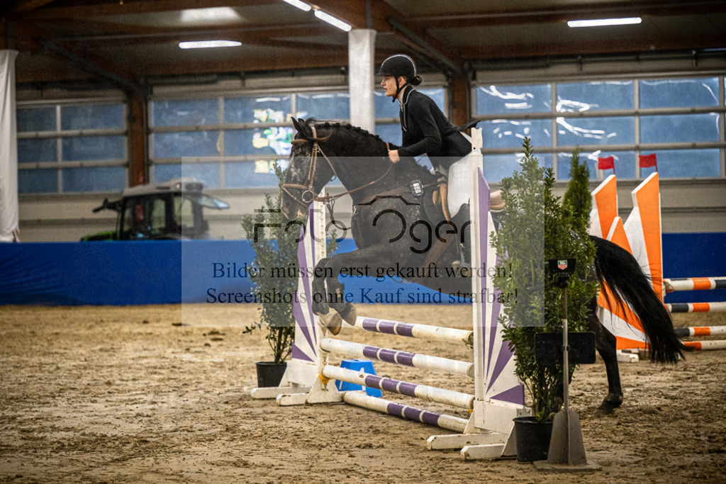 DOS_0738 | Entdecke hochwertige Reitturnierfotos von Foto Oger. Professionell, emotional und authentisch – jetzt Lieblingsmomente im Shop bestellen.Deutschlandweite Turnierfotografie. - Realisiert mit Pictrs.com