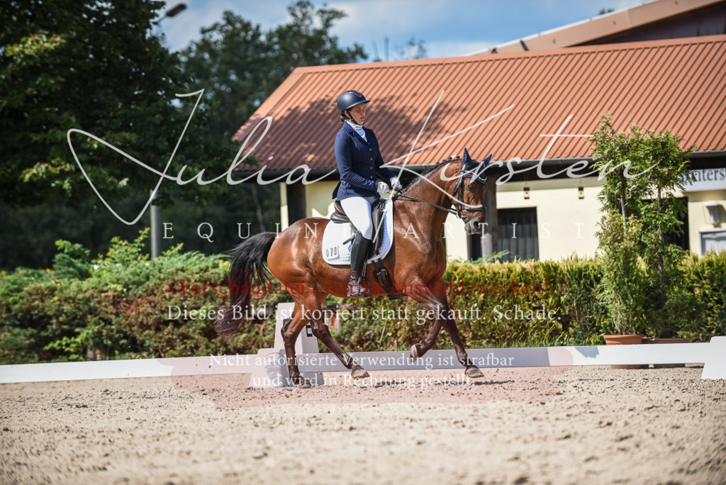 DSC_9452 | Pferde- und Turnierfotografie in Westsachsen. Pferdeportraits, Auftragszeichnungen und intuitive Kunst.