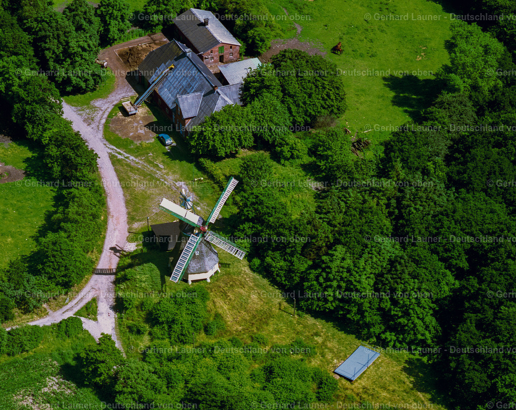 7000612 | Windmühle bei Meldorf