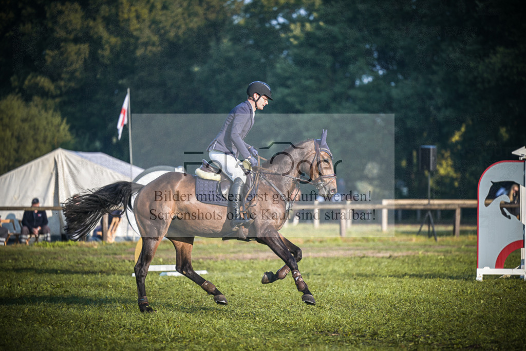 DOS_0319 | Entdecke hochwertige Reitturnierfotos von Foto Oger. Professionell, emotional und authentisch – jetzt Lieblingsmomente im Shop bestellen.Deutschlandweite Turnierfotografie. - Realisiert mit Pictrs.com