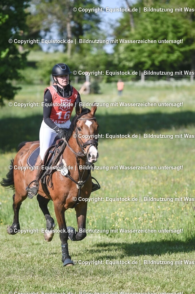 20250517_CCI2_Gelände_0432 | Foto: Thomas Hartig