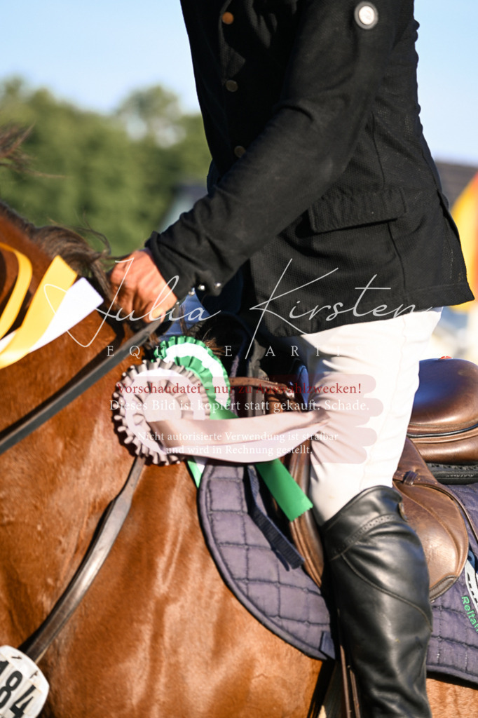 DSC_1932 | Pferde- und Turnierfotografie in Westsachsen. Pferdeportraits, Auftragszeichnungen und intuitive Kunst.