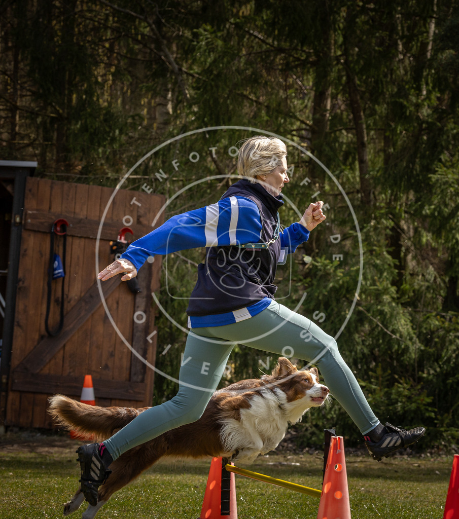 Pfotenfotografie_DV3A3262 | Hundefotografie, Tierfotograf, Pfotenfotografie, Fotoshooting Hund, Hunde Portrait, Hundesport, Hundeportraits, Heideshooting, Hunde, Sportfotograf, Hundefotograf, Turnierhundsport, THS,  - Realisiert mit Pictrs.com