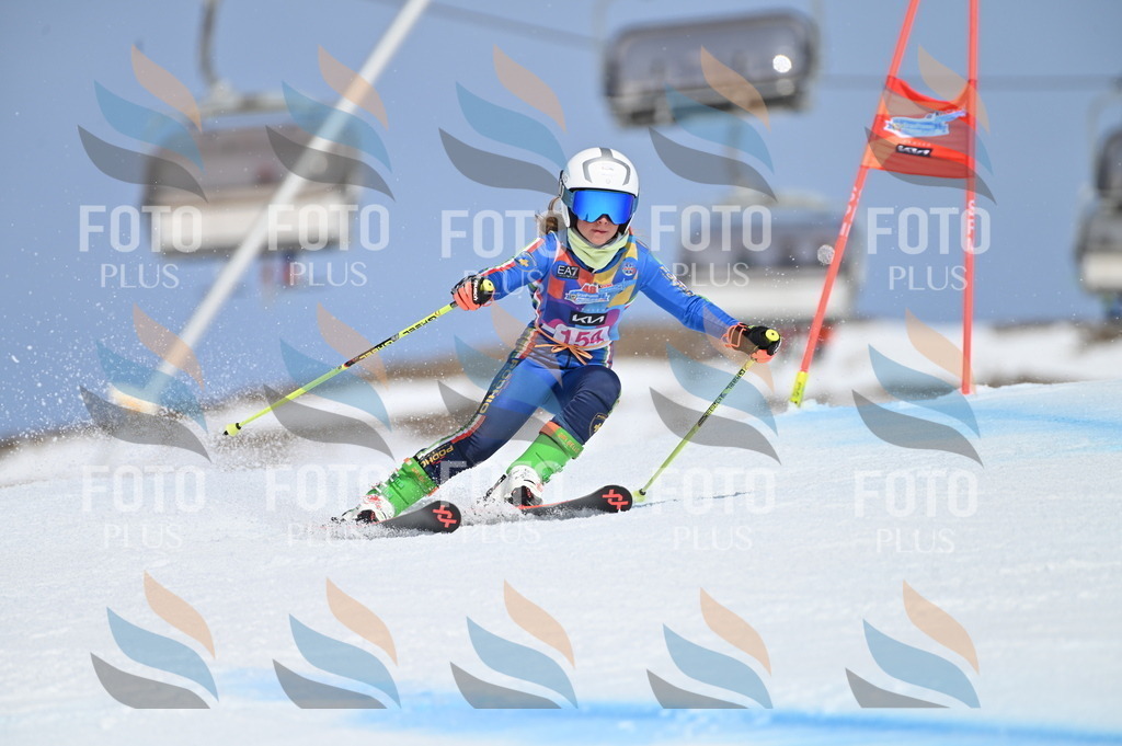 BGV_0119 | holidayphoto