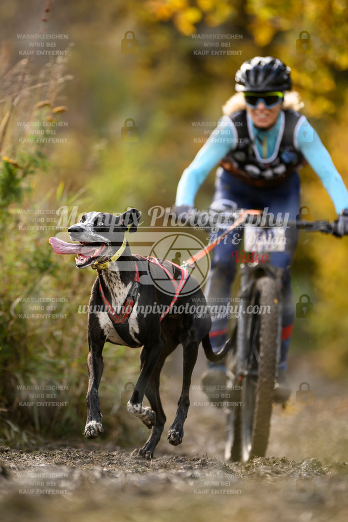 MompixPhotography_ICF_WC_2024_SA_Bike_-347 | PayLife