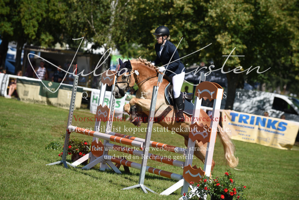 DSC_9508 | Pferde- und Turnierfotografie in Westsachsen. Pferdeportraits, Auftragszeichnungen und intuitive Kunst.