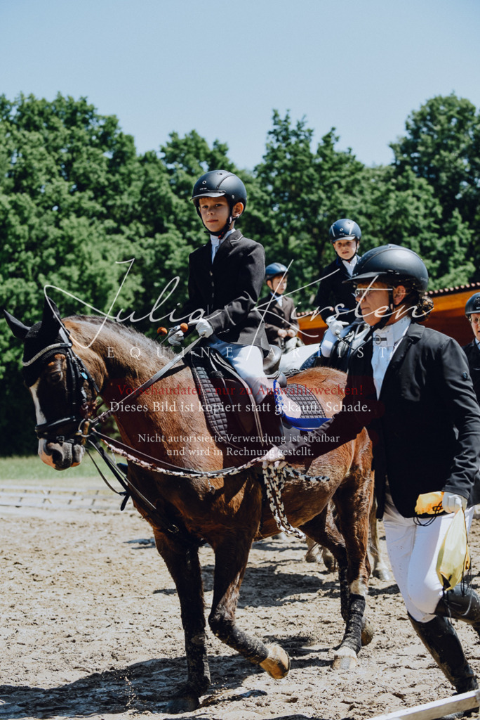 DSC_2370 | Pferde- und Turnierfotografie in Westsachsen. Pferdeportraits, Auftragszeichnungen und intuitive Kunst.