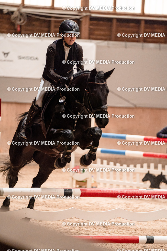 Springen Tag 2-493 | dv-media-shop - Realisiert mit Pictrs.com