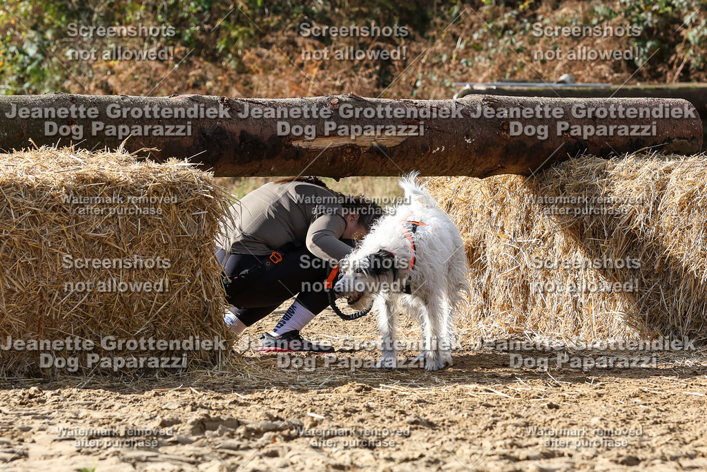 Dog Paparazzi - Strongdog 10-25-5271 | Dog Paparazzi Jeanette Grottendiek Fotografie & Videografie - Realisiert mit Pictrs.com