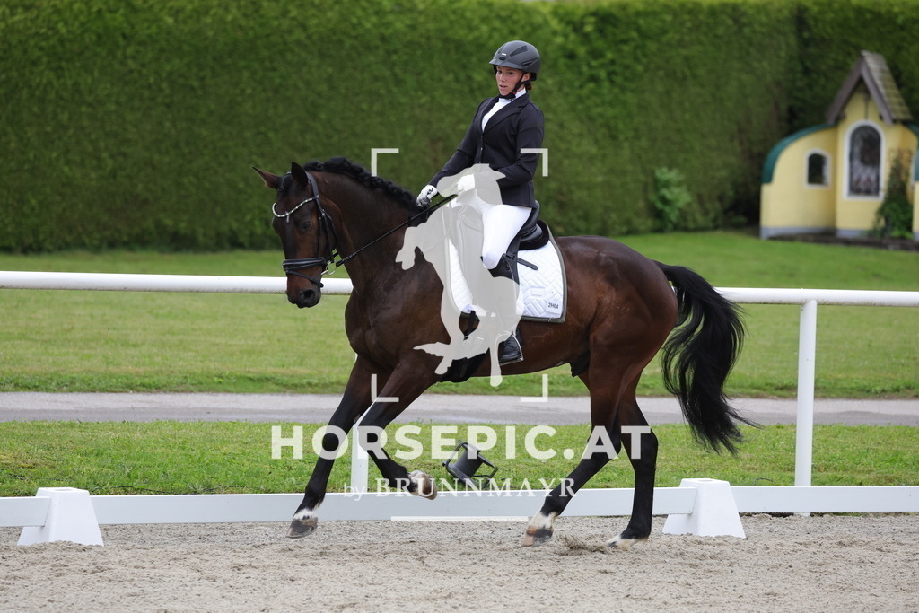 0P6A3258 | Willkommen bei Brunnmayr - Design & Fotografie – Ihrem Spezialisten für Reitturniere und Pferdeveranstaltungen in Oberösterreich, Salzburg und Bayern! Seit über 17 Jahren sind wir leidenschaftlich dabei.