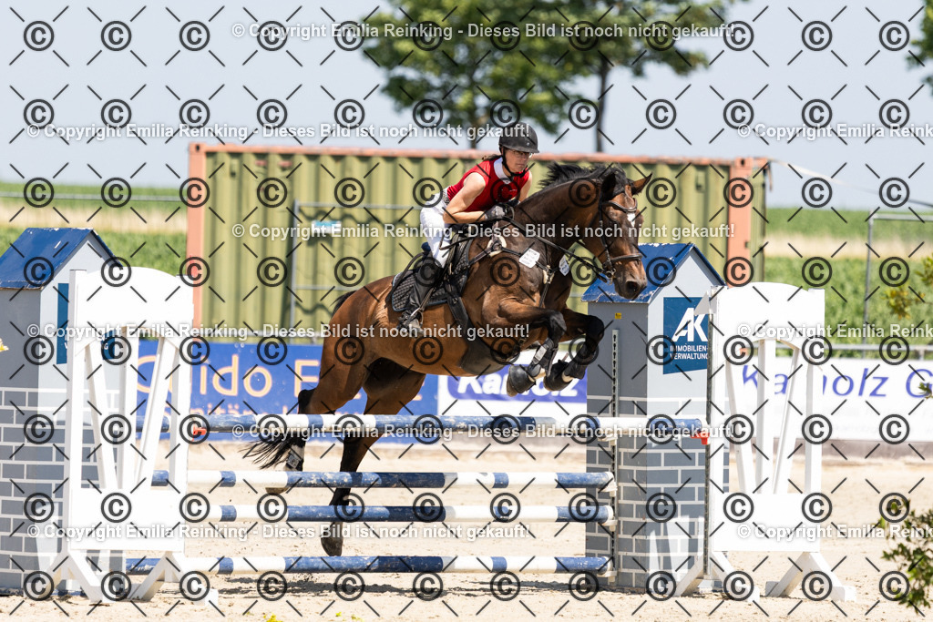 CL5A3305 | Emilia Reinking Fotografie - Realisiert mit Pictrs.com