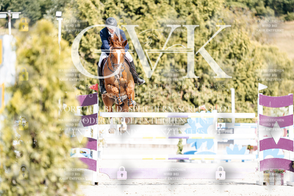 CK908813 | Turnierfotografie Pferdefotografie Trier Rheinland-Pfalz Pferdesport Reitsport Tierfotografie Sportfotografie Pferdevideo Pferdevideografie Equestrianvideography equestrianphotography  - Realisiert mit Pictrs.com