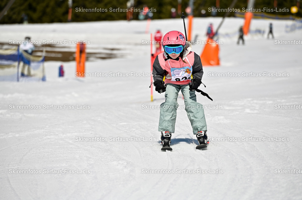 SRF_13.03.2026_159 | SRF_13.03.2026_159 - Realisiert mit Pictrs.com