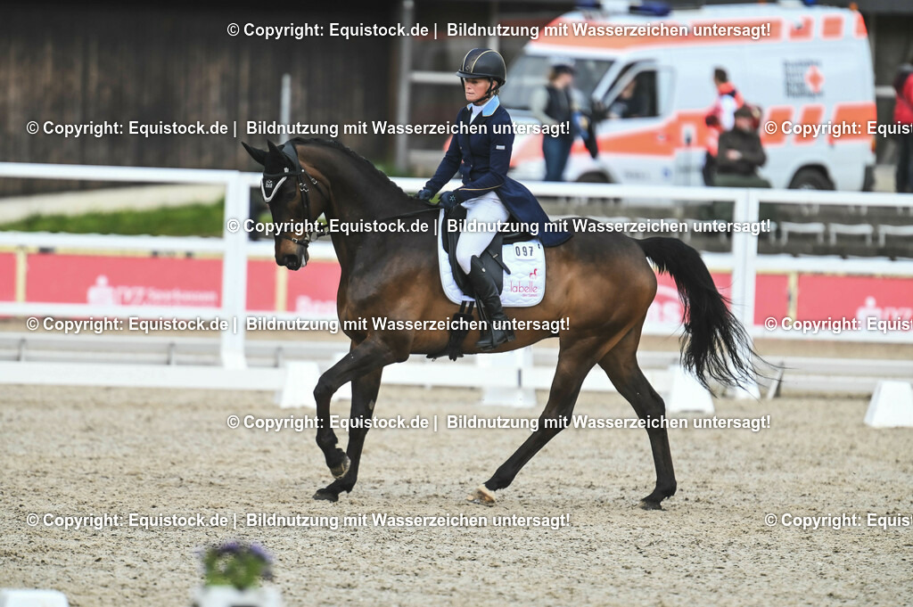 20230512_CCI4_Dressur_0411 | equistock