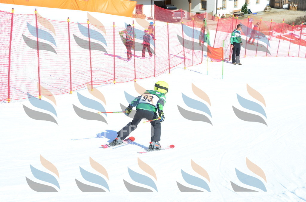 C5713 | holidayphoto