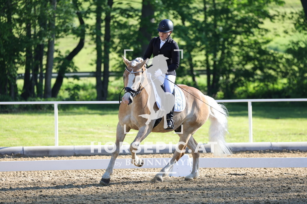0P6A9354 | Willkommen bei Brunnmayr - Design & Fotografie – Ihrem Spezialisten für Reitturniere und Pferdeveranstaltungen in Oberösterreich, Salzburg und Bayern! Seit über 17 Jahren sind wir leidenschaftlich dabei.