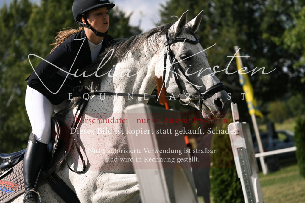 DSC_1068 | Pferde- und Turnierfotografie in Westsachsen. Pferdeportraits, Auftragszeichnungen und intuitive Kunst.