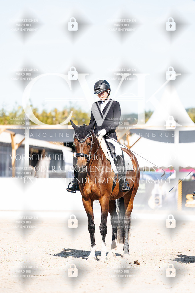 CK908056 | Turnierfotografie Pferdefotografie Trier Rheinland-Pfalz Pferdesport Reitsport Tierfotografie Sportfotografie Pferdevideo Pferdevideografie Equestrianvideography equestrianphotography  - Realisiert mit Pictrs.com